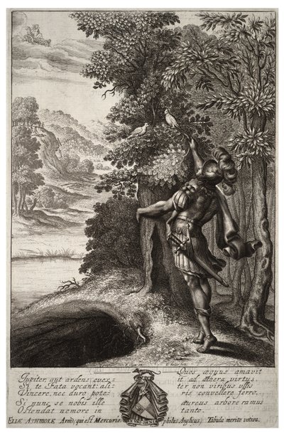 La rama dorada. Estado 1 de Wenceslaus Hollar